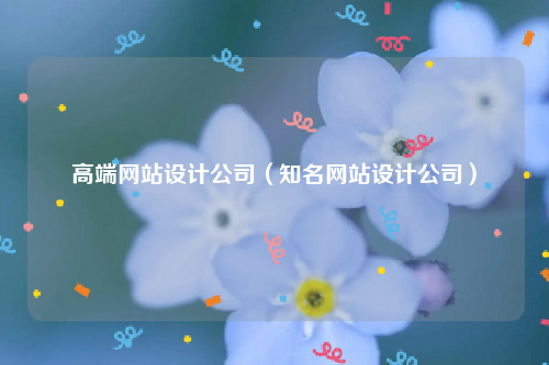 高端网站设计公司（知名网站设计公司）