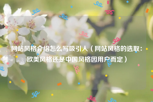 网站风格介绍怎么写吸引人（网站风格的选取：欧美风格还是中国风格因用户而定）