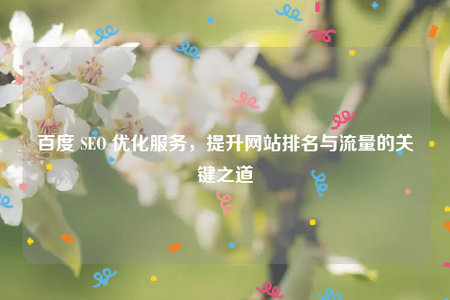 百度 SEO 优化服务，提升网站排名与流量的关键之道