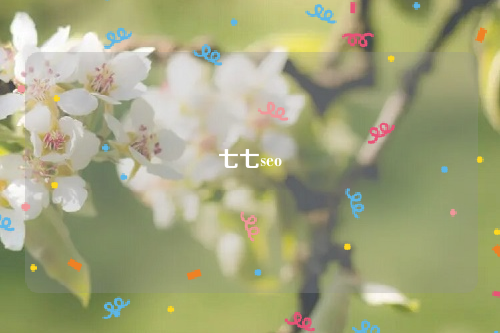 七七seo
