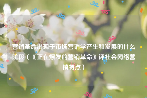 营销革命出现于市场营销学产生和发展的什么阶段（《正在爆发的营销革命》评社会网络营销特点）