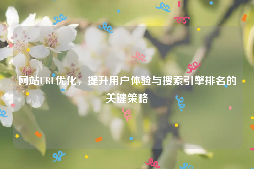 网站URL优化，提升用户体验与搜索引擎排名的关键策略