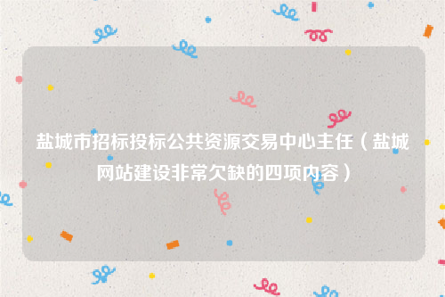 盐城市招标投标公共资源交易中心主任（盐城网站建设非常欠缺的四项内容）