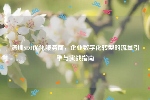 深圳SEO优化服务商，企业数字化转型的流量引擎与实战指南