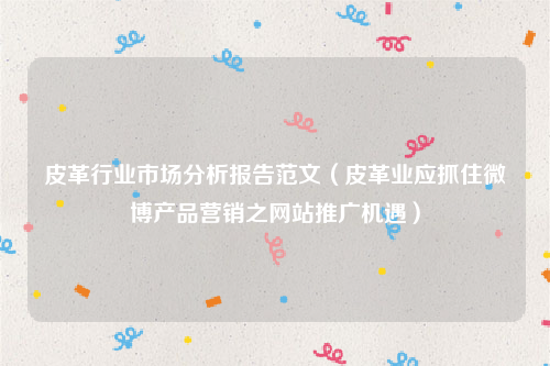 皮革行业市场分析报告范文（皮革业应抓住微博产品营销之网站推广机遇）