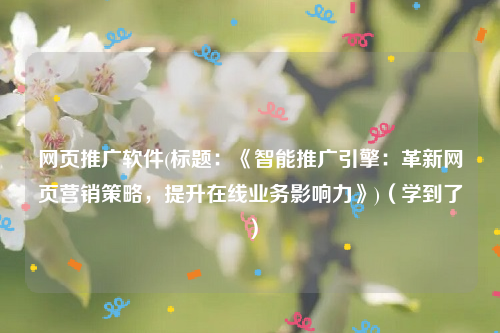 网页推广软件(标题：《智能推广引擎：革新网页营销策略，提升在线业务影响力》)（学到了）
