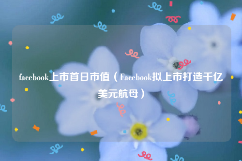 facebook上市首日市值（Facebook拟上市打造千亿美元航母）