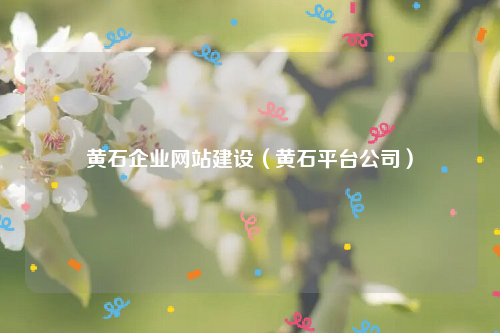 黄石企业网站建设（黄石平台公司）