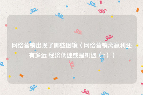 网络营销出现了哪些困境（网络营销离赢利还有多远 经济低迷或是机遇（2））