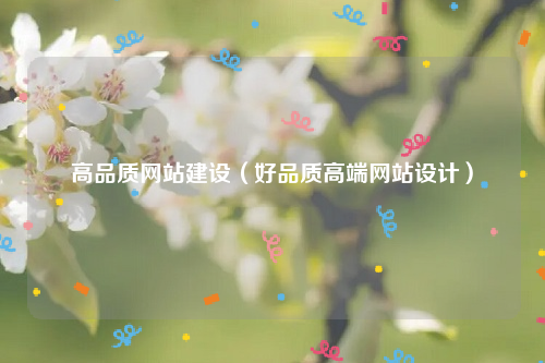 高品质网站建设（好品质高端网站设计）