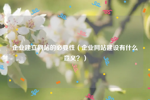 企业建立网站的必要性（企业网站建设有什么意义？）