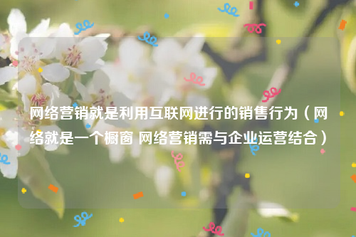 网络营销就是利用互联网进行的销售行为（网络就是一个橱窗 网络营销需与企业运营结合）