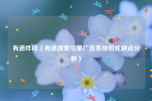 有道咋样（有道搜索引擎广告系统的优缺点分析）