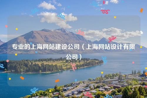 专业的上海网站建设公司（上海网站设计有限公司）