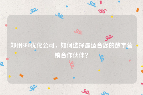 郑州SEO优化公司，如何选择最适合您的数字营销合作伙伴？