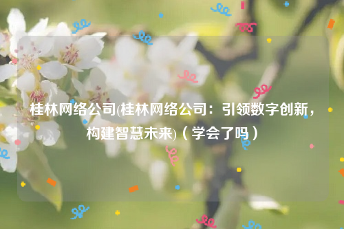桂林网络公司(桂林网络公司：引领数字创新，构建智慧未来)（学会了吗）