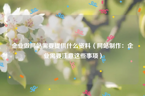 企业做网站需要提供什么资料（网站制作：企业需要注意这些事项）