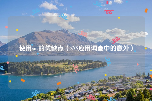 使用sns的优缺点（SNS应用调查中的意外）