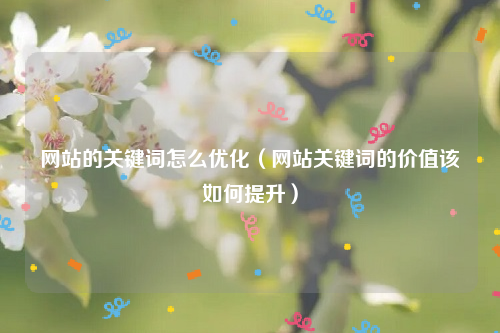 网站的关键词怎么优化（网站关键词的价值该如何提升）