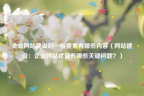 企业网站建设的一般要素有哪些内容（网站建设：企业网站建设有哪些关键问题？）