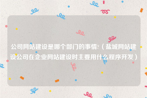 公司网站建设是哪个部门的事情?（盐城网站建设公司在企业网站建设时主要用什么程序开发）
