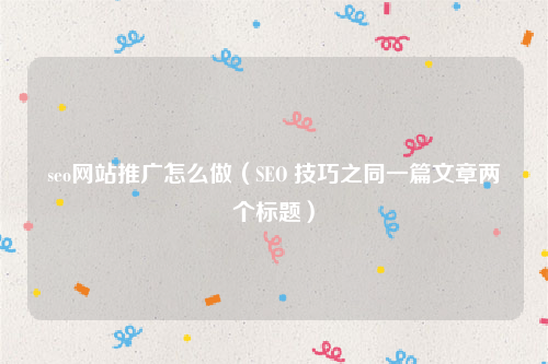 seo网站推广怎么做（SEO 技巧之同一篇文章两个标题）