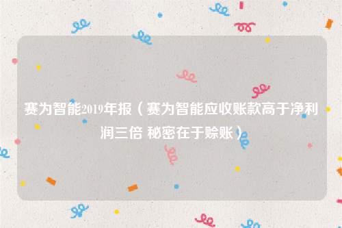 赛为智能2019年报（赛为智能应收账款高于净利润三倍 秘密在于赊账）