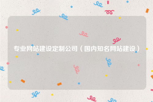 专业网站建设定制公司（国内知名网站建设）