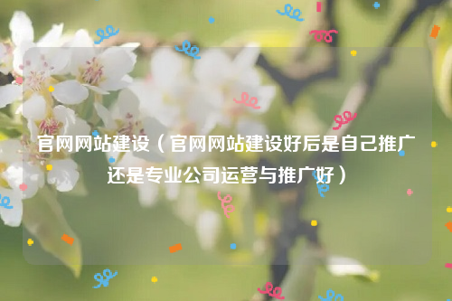 官网网站建设（官网网站建设好后是自己推广还是专业公司运营与推广好）