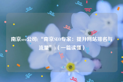 南京seo公司(“南京SEO专家：提升网站排名与流量”)（一篇读懂）