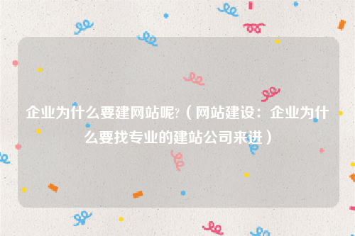 企业为什么要建网站呢?（网站建设：企业为什么要找专业的建站公司来进）