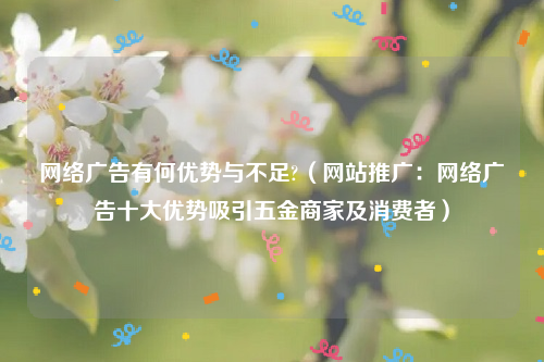 网络广告有何优势与不足?（网站推广：网络广告十大优势吸引五金商家及消费者）