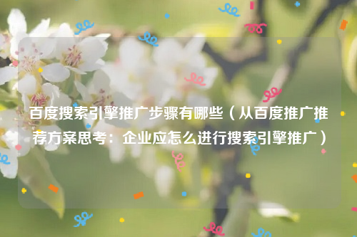百度搜索引擎推广步骤有哪些（从百度推广推荐方案思考：企业应怎么进行搜索引擎推广）