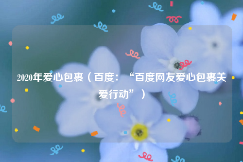 2020年爱心包裹（百度：“百度网友爱心包裹关爱行动”）