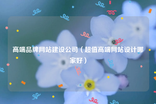 高端品牌网站建设公司（超值高端网站设计哪家好）