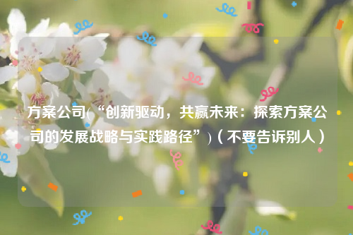 方案公司(“创新驱动，共赢未来：探索方案公司的发展战略与实践路径”)（不要告诉别人）