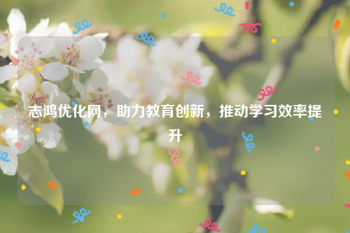志鸿优化网，助力教育创新，推动学习效率提升
