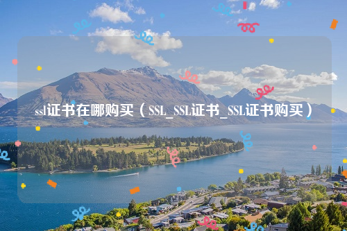 ssl证书在哪购买（SSL_SSL证书_SSL证书购买）