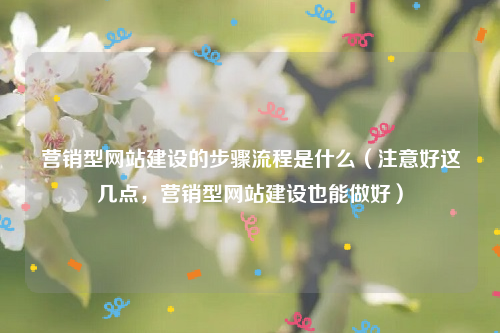 营销型网站建设的步骤流程是什么（注意好这几点，营销型网站建设也能做好）