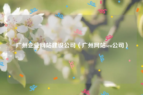 广州企业网站建设公司（广州网站seo公司）