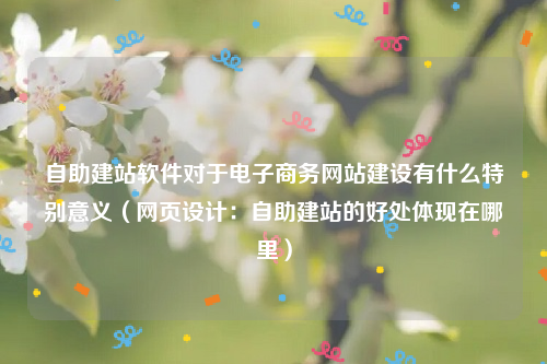 自助建站软件对于电子商务网站建设有什么特别意义（网页设计：自助建站的好处体现在哪里）