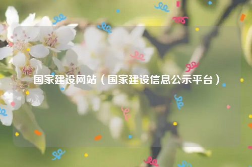国家建设网站（国家建设信息公示平台）