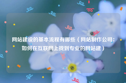 网站建设的基本流程有哪些（网站制作公司：如何在互联网上找到专业的网站建）