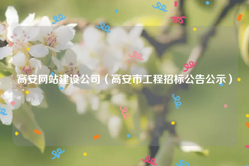 高安网站建设公司（高安市工程招标公告公示）