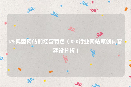 b2b典型网站的经营特色（B2B行业网站原创内容建设分析）