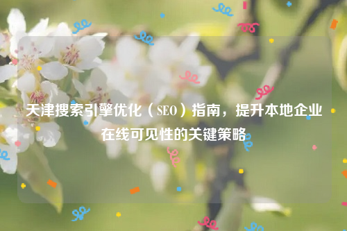 天津搜索引擎优化（SEO）指南，提升本地企业在线可见性的关键策略