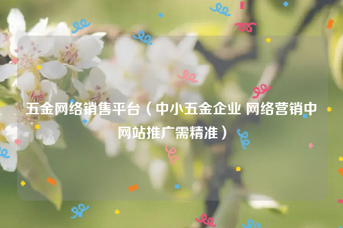 五金网络销售平台（中小五金企业 网络营销中网站推广需精准）