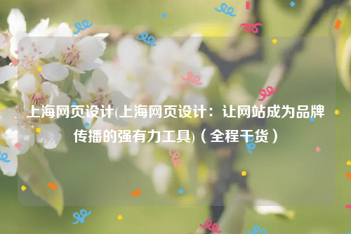 上海网页设计(上海网页设计：让网站成为品牌传播的强有力工具)（全程干货）