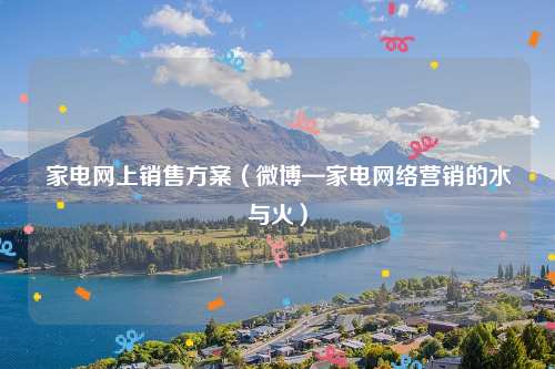 家电网上销售方案（微博—家电网络营销的水与火）