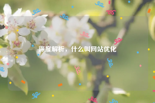 深度解析，什么叫网站优化